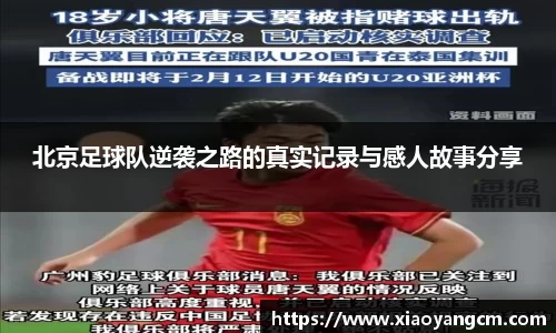 优游国际ub8